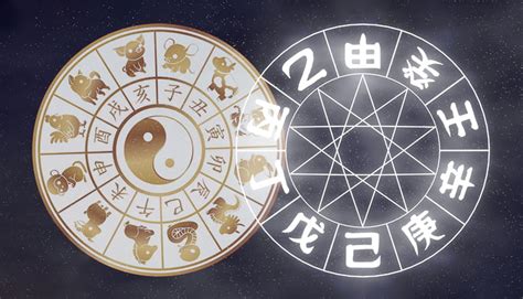 乙巳年2025|2025年は「乙巳（きのとみ）」 の年！どんな1年間になる？開運。